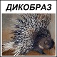 Изображение пользователя Porcupine.